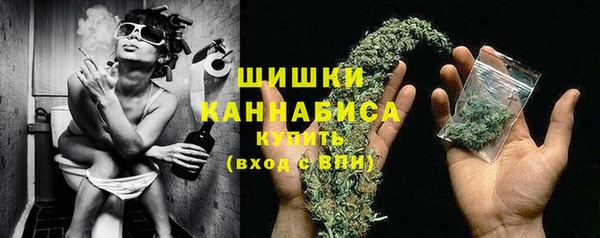 дмт Сосновоборск