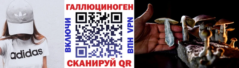 купить  цена  Котельнич  Галлюциногенные грибы прущие грибы 